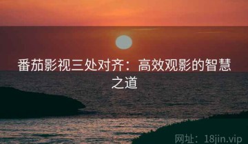 番茄影视三处对齐：高效观影的智慧之道