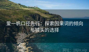 爱一帆口径先行：探索因果词的倾向与镜头的选择