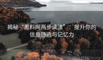 揭秘“黑料网两步读法”：提升你的信息筛选与记忆力